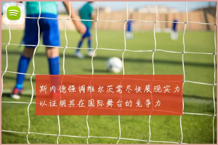 斯内德强调维尔茨需尽快展现实力以证明其在国际舞台的竞争力