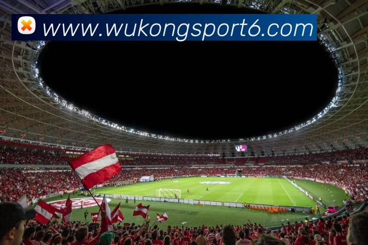 悟空体育APP 封面图