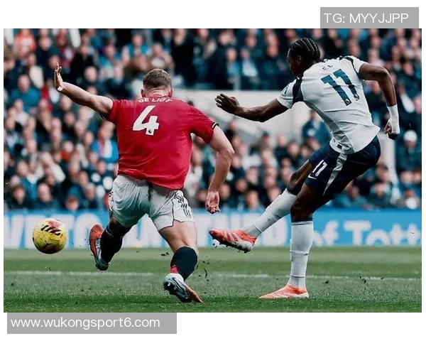 奥多伊神奇进球助热刺客场逆转局势扳平比分